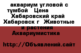 аквариум угловой с тумбой › Цена ­ 15 000 - Хабаровский край, Хабаровск г. Животные и растения » Аквариумистика   